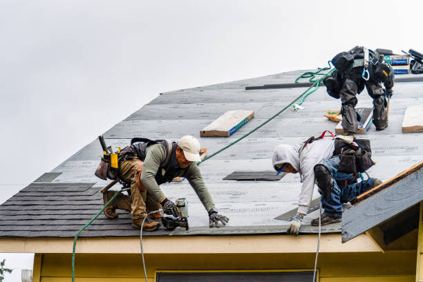 Professional Gutter Installation technician working in Westville, IL
